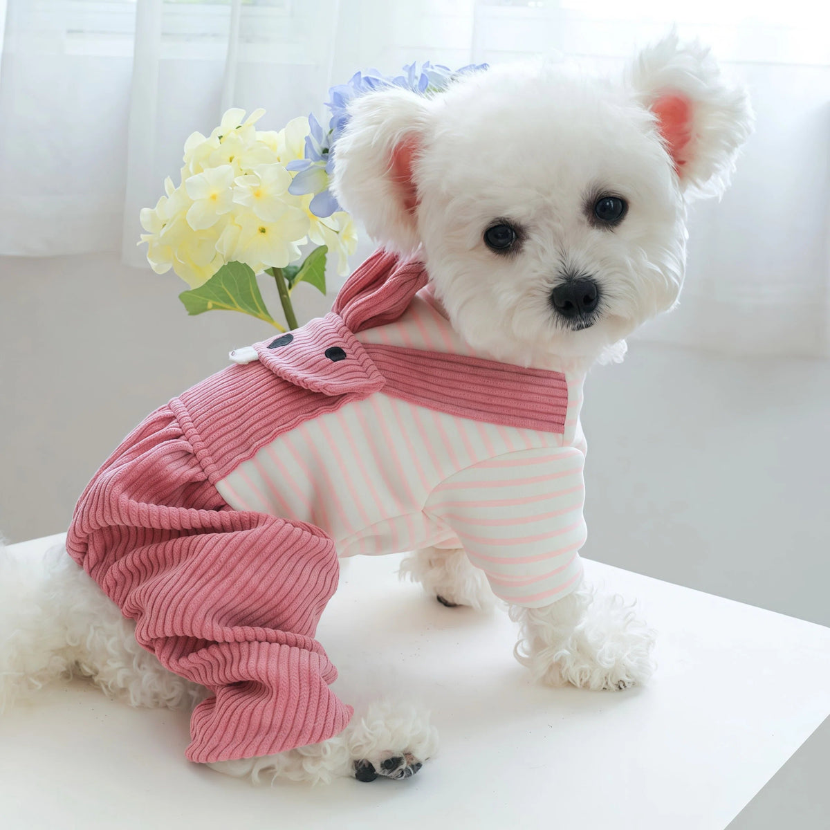 Pet Jumpsuit