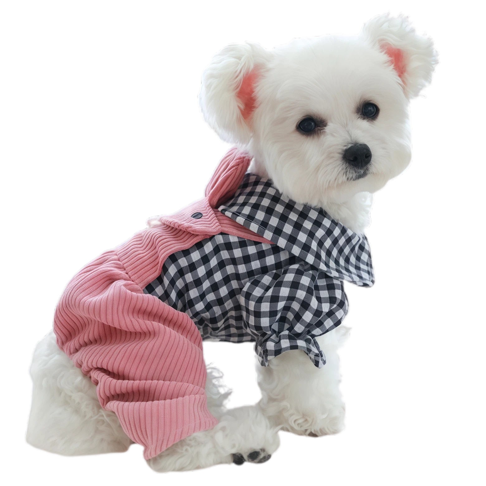 Small Pet Overalls with Molar Pattern