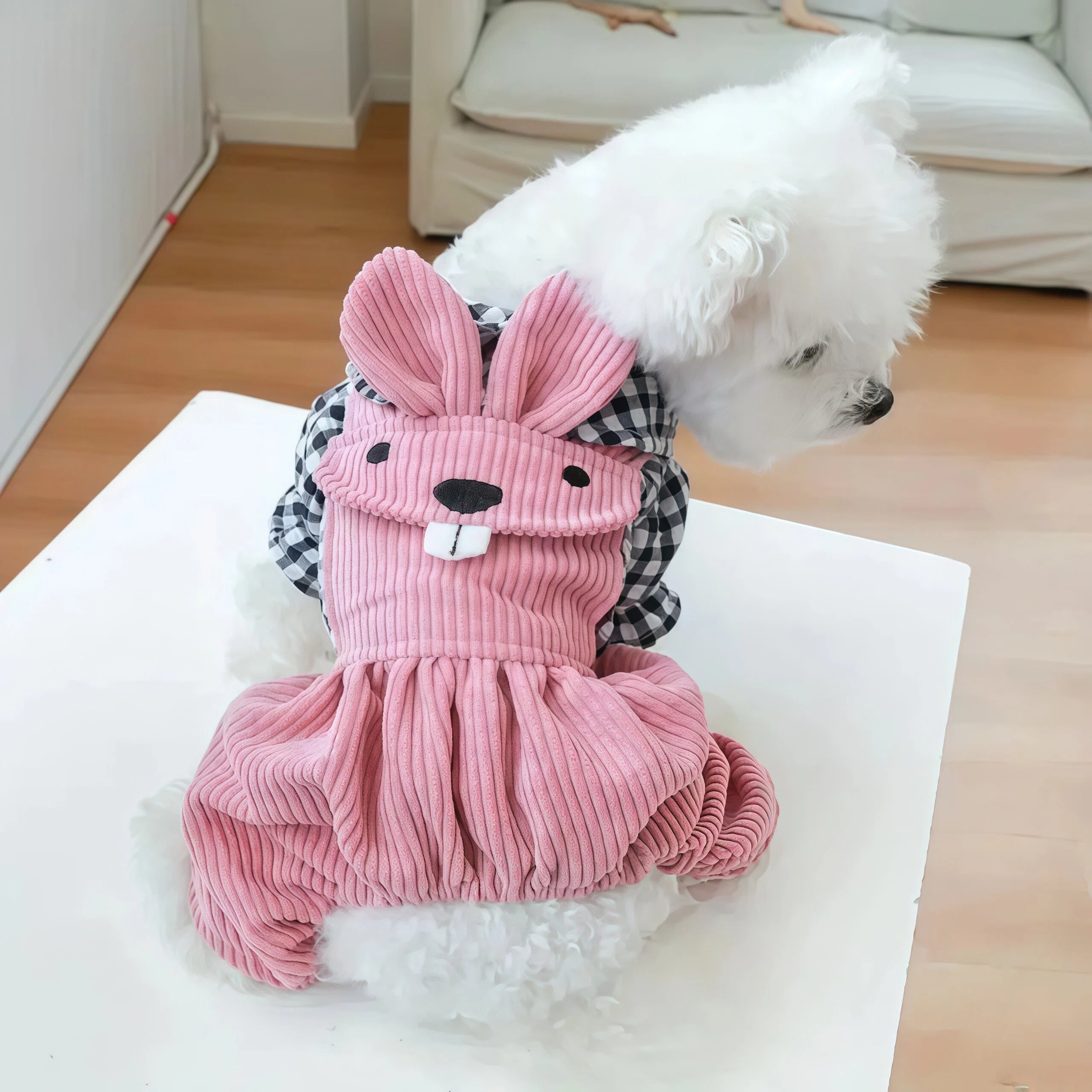 Small Pet Overalls with Molar Pattern