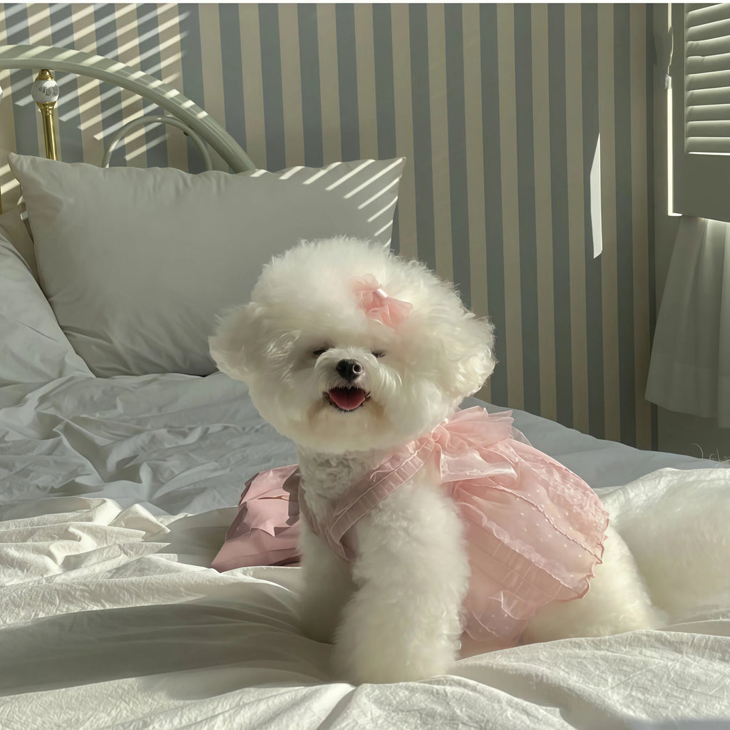 Small Pet Pink Butterfly Dress