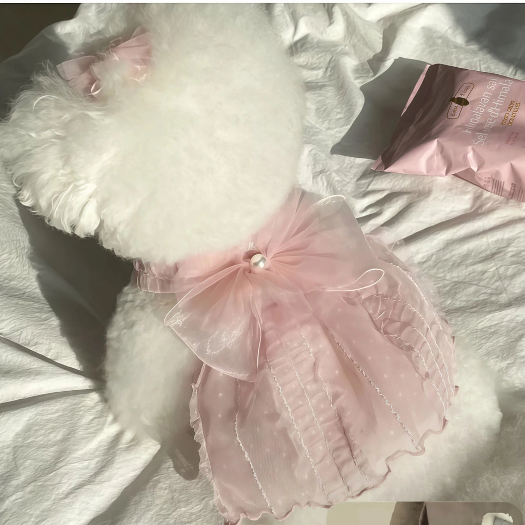 Small Pet Pink Butterfly Dress